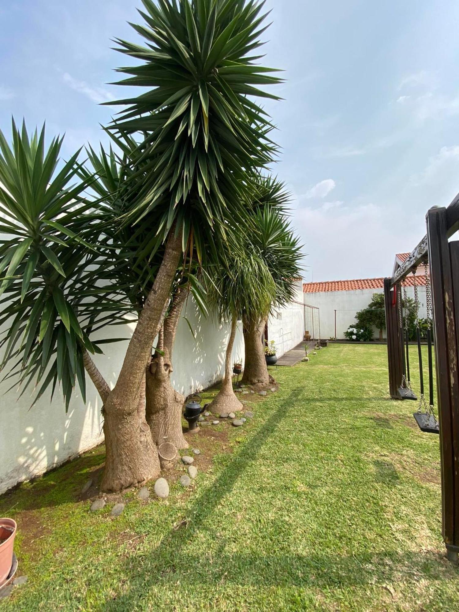 Apartamentos Sao Joao Horta  Eksteriør bilde