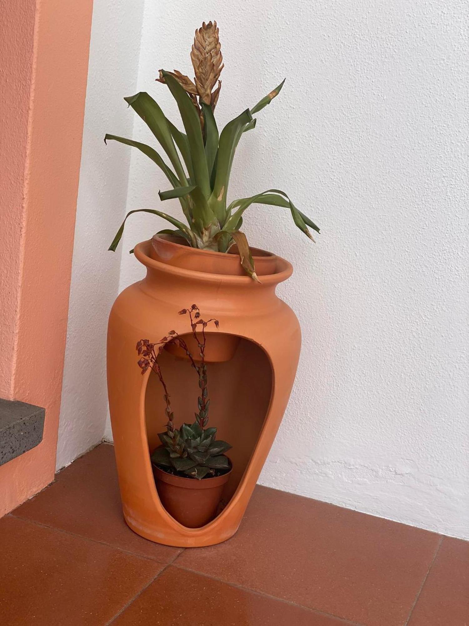 Apartamentos Sao Joao Horta  Eksteriør bilde