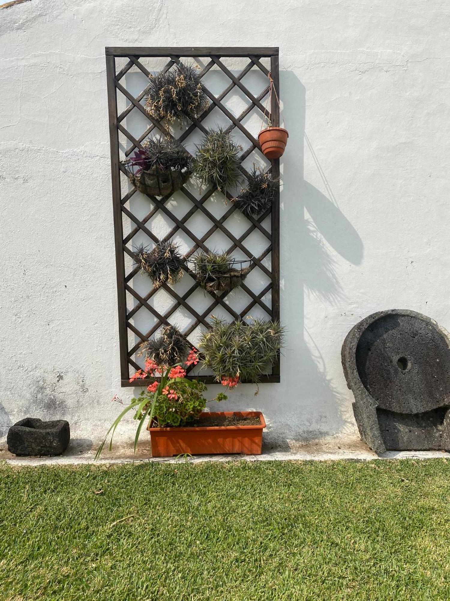 Apartamentos Sao Joao Horta  Eksteriør bilde